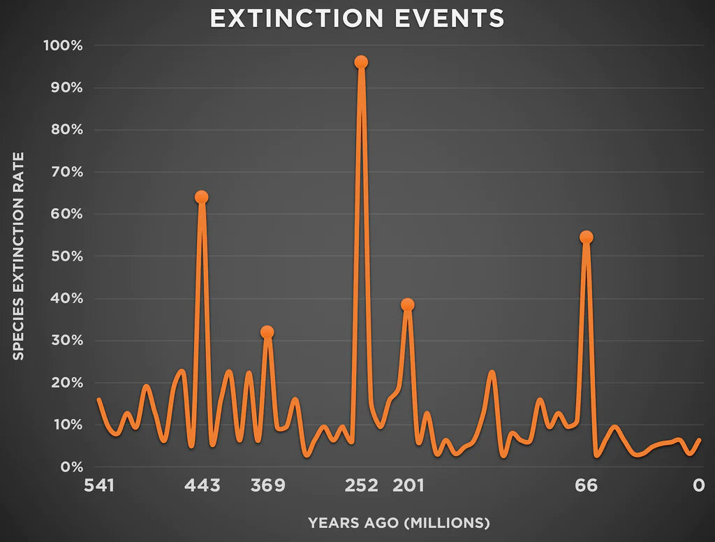 A line graph plotting the five mass extinctions.