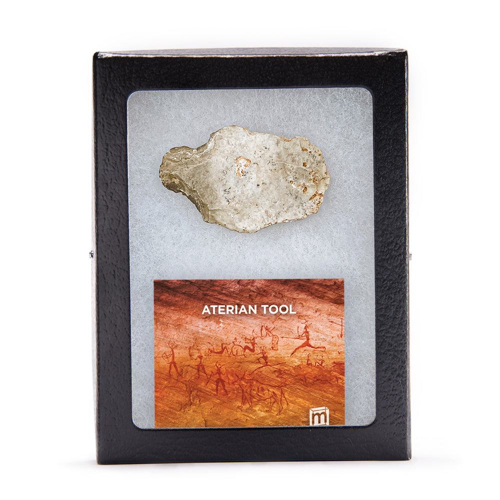 Stonehenge Bluestone Quarry Slab Collectible Specimen, Includes Display  Case - Mini Museum