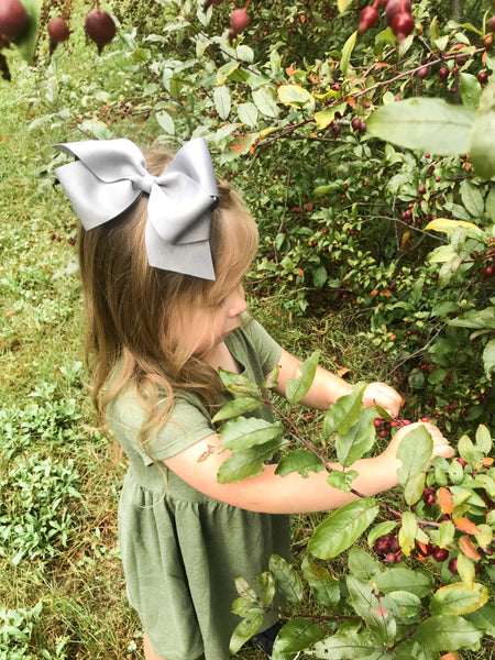 child picking berries in the Fall