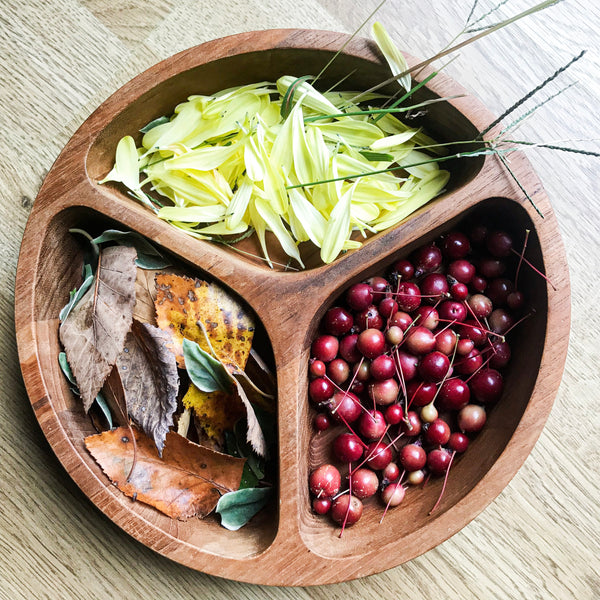 fall harvest in wooden bowl