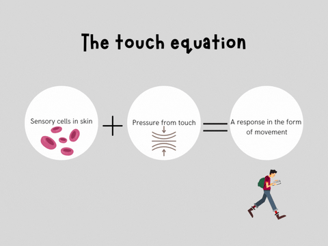 touch equation