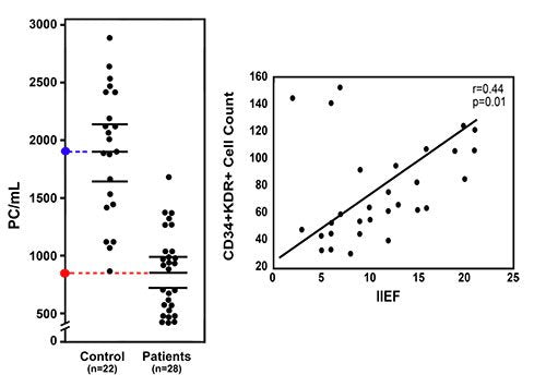 circulating-stem-cells