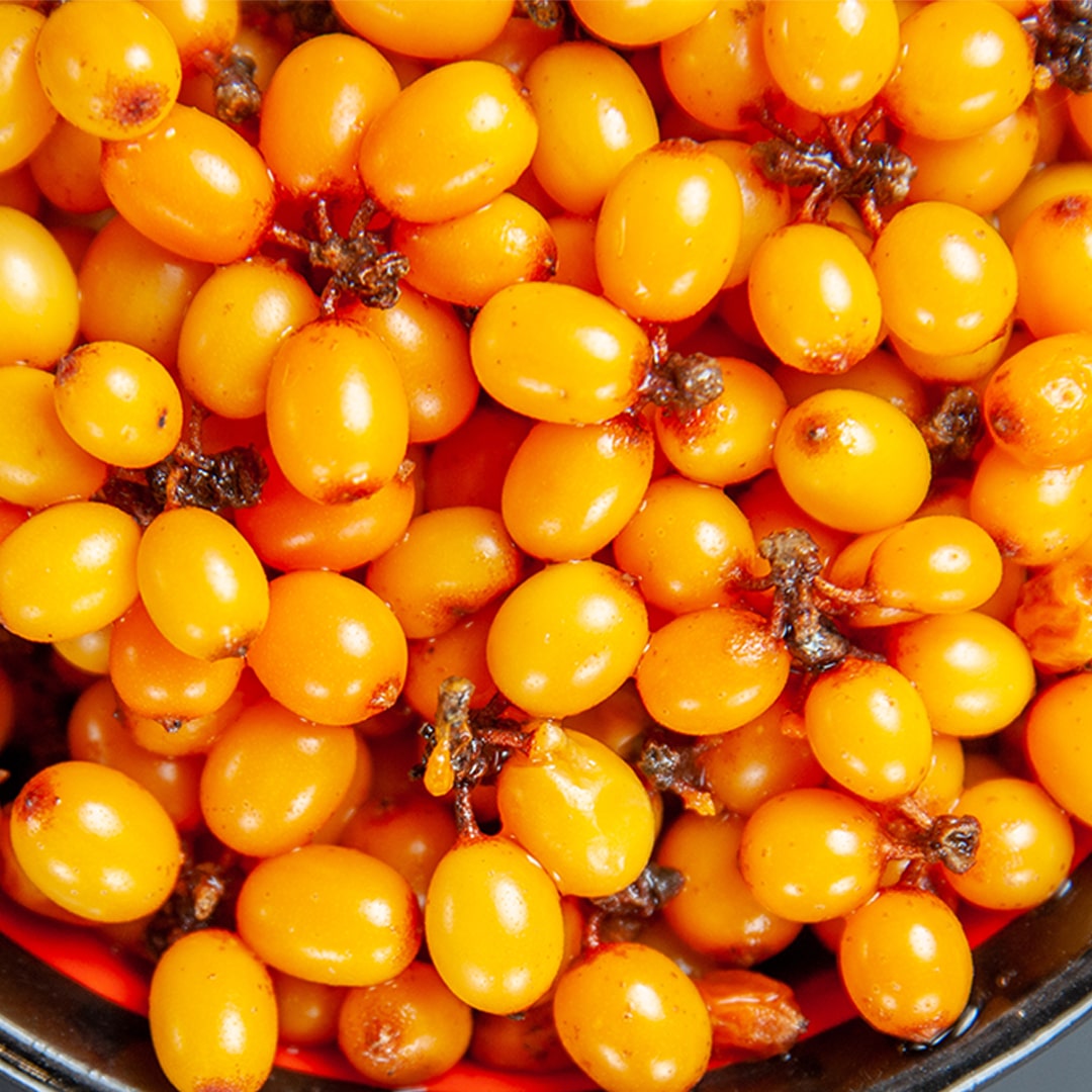 sea-buckthorn-berry