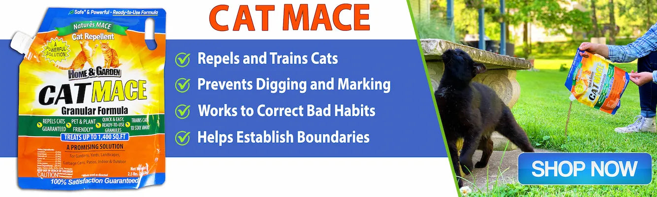 Blog posts 11 surprising scents that deter cats