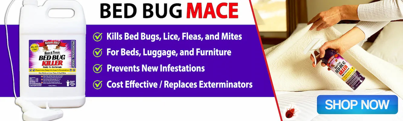 Check for bed bugs on pets