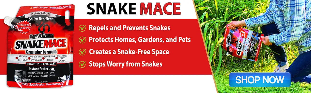 Where to Buy the Best Snake Repellents