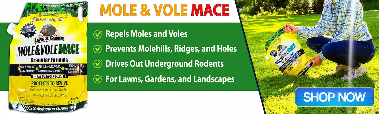 Effective Techniques for Controlling Voles and Moles