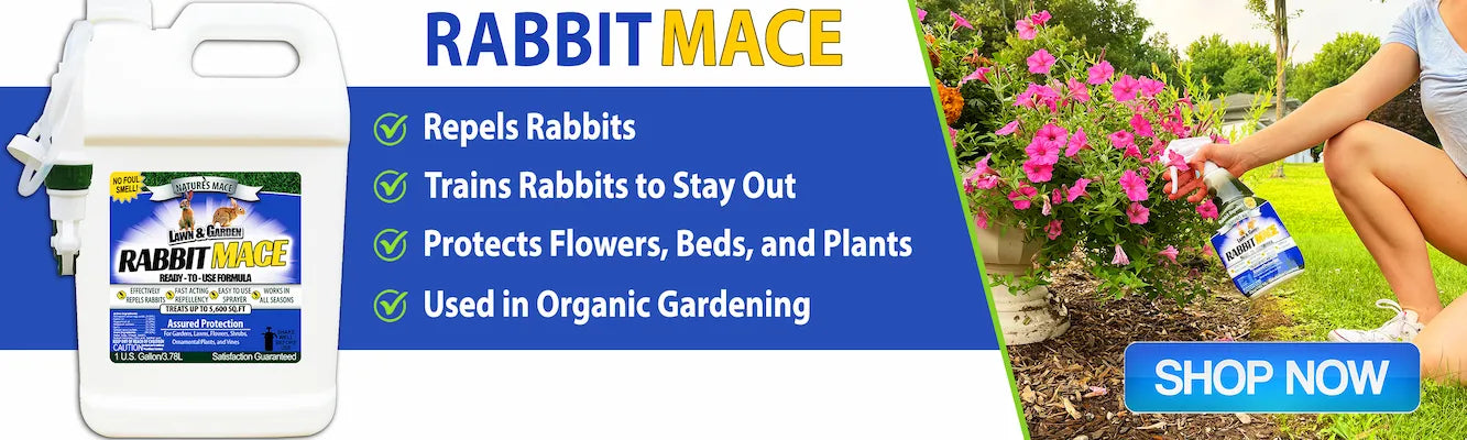 Rabbit deterrents