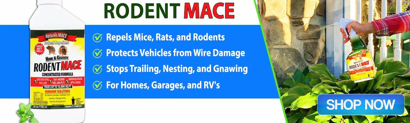 Why do you need rodent repellent for cars?