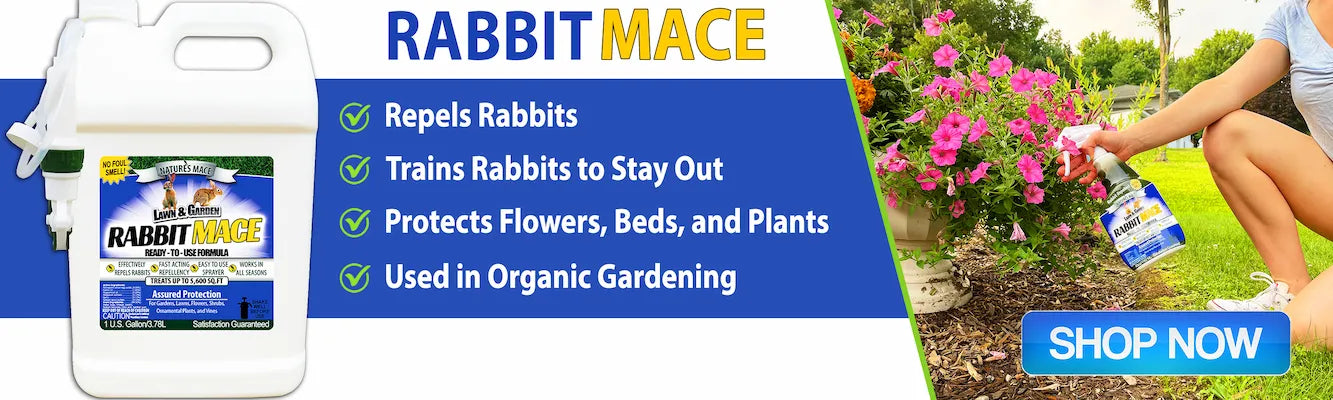 Nature's MACE Rabbit MACE
