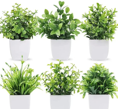 Planta Realista Decorativa