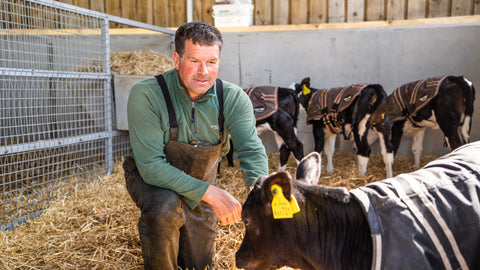 Hollis mead farmer with cow