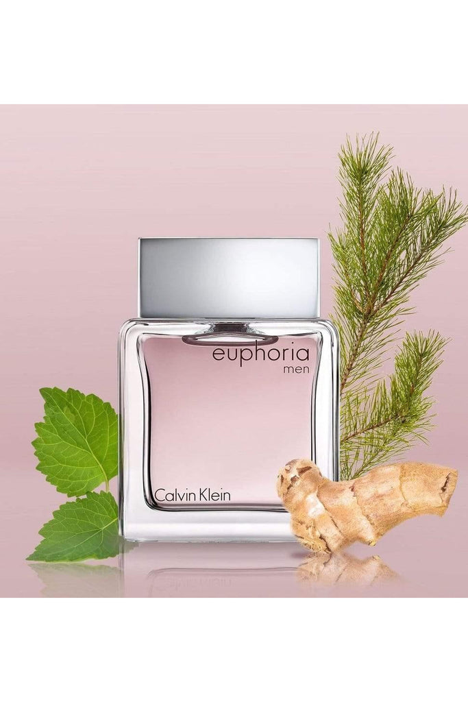 Buy Calvin Klein Euphoria Men EDT - 100ml