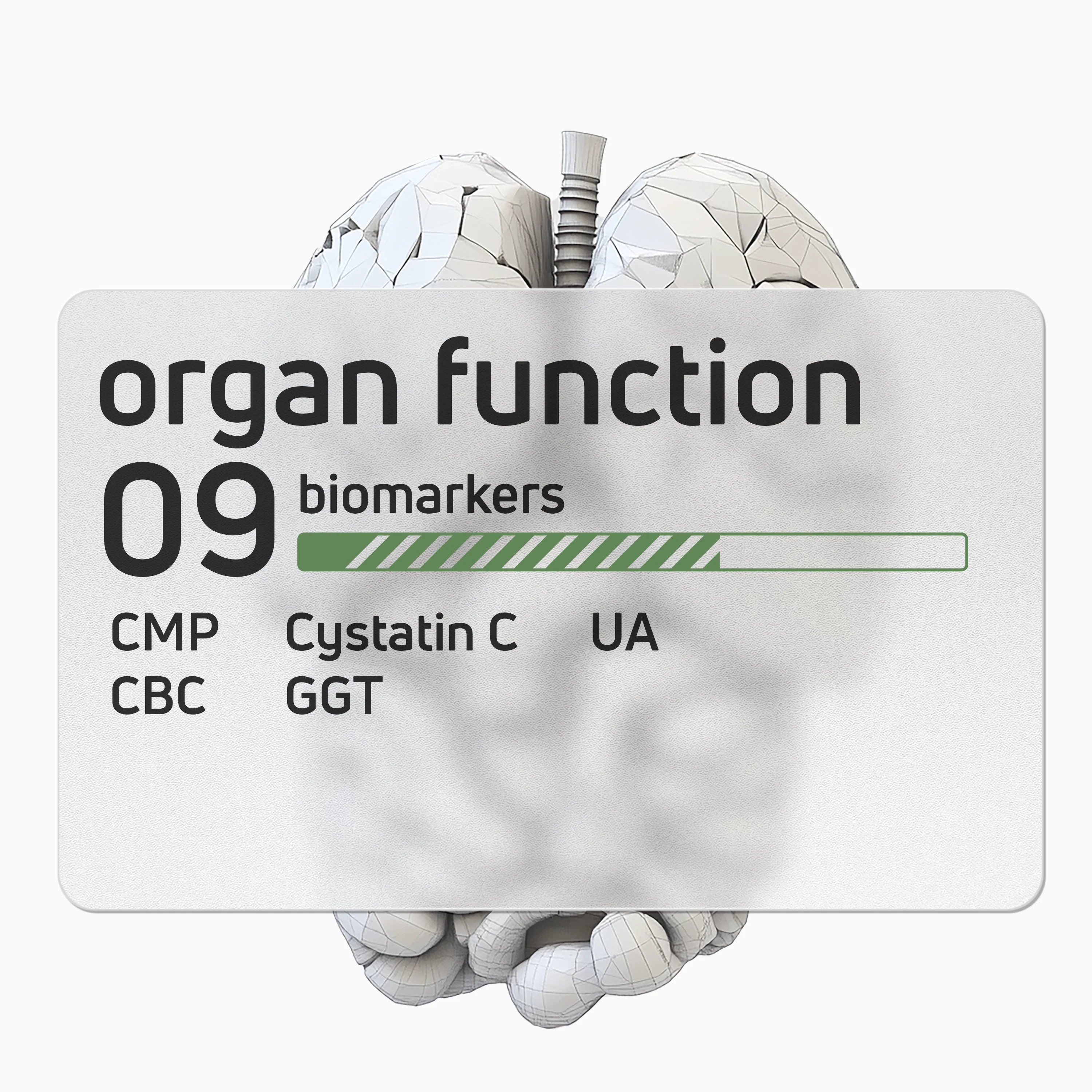 Organ Function
