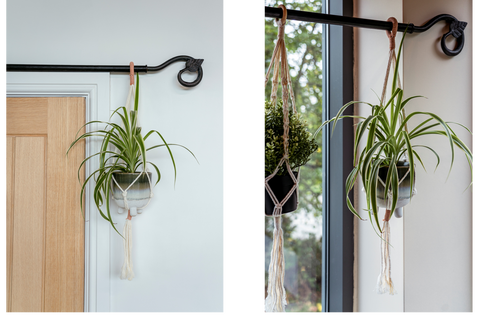 Spider plant in a ceramic pot hung on a macrame plant hanger on a Beeswax curtain pole with From The Anvil's Beeswax Leaf curtain finials.