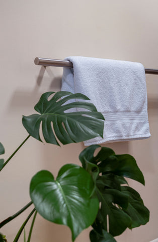 From The Anvil's Polished Stainless Steel T bar pull handle fitted horizontally to a bathroom wall to act as a towel holder. Green monstera plant in the foreground.