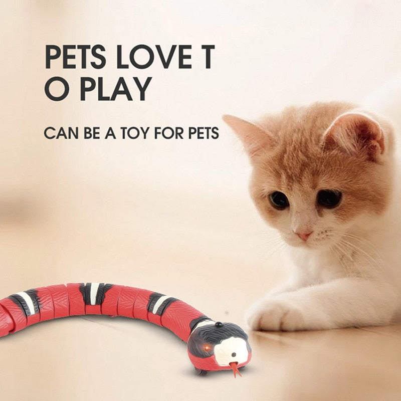 Interactive Cat Toy