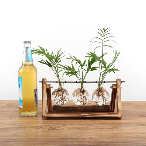 Desktop Glass Planter Bulb Vase