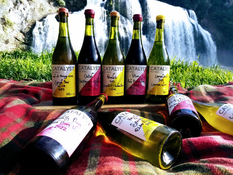 Catalyst Fruit Wines in front of Waihi Falls, Tararua