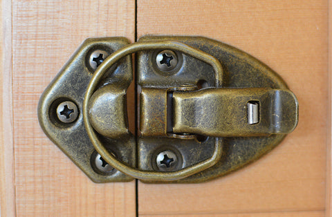 Sauna Locking Clasp