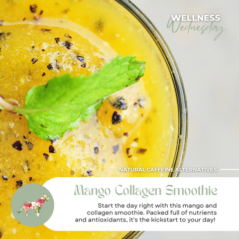 O Nutricia Collagen 500g - Mango Collagen Smoothie Recipe