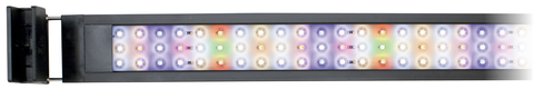 Leds de la Pantalla AQUA LIGHT TOUCH