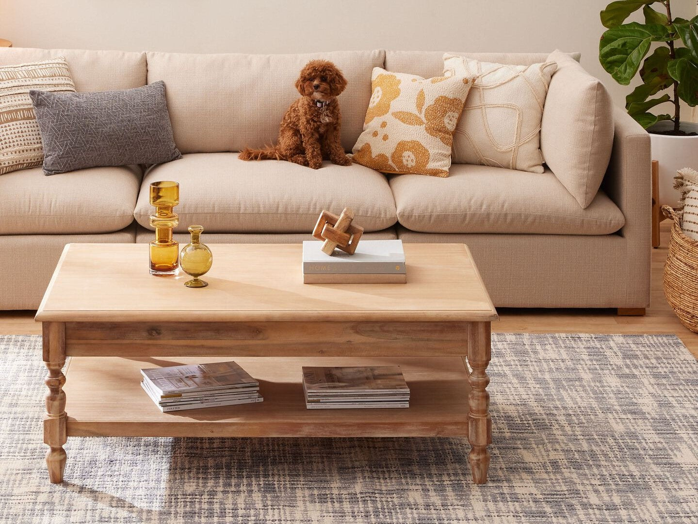 Cost Plus World Market Everett Weathered Natural Wood Rectangle Coffee Table