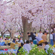 各種イベント