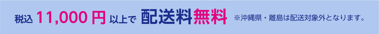 税込 11,000円以上で配送料無料 ※沖縄県・離島は配送対象外となります
