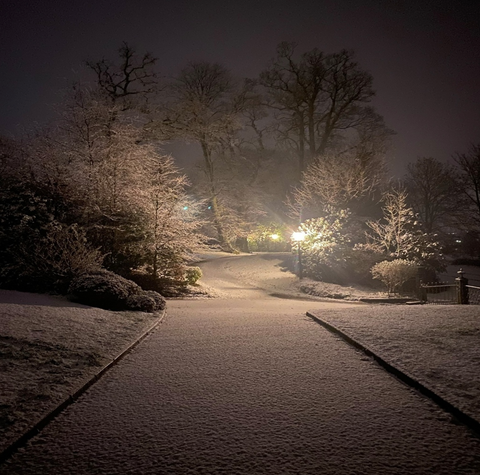 Snowy driveway 