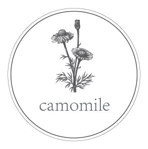 Camomile 