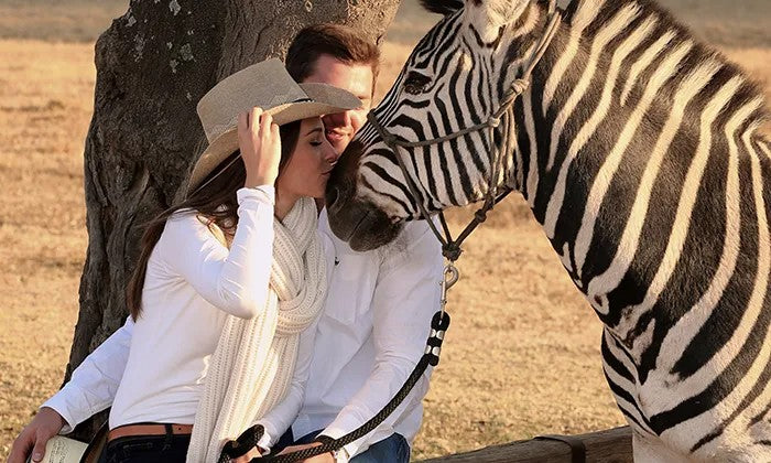 Interactions and Photos with Zebras for Kids or Adults at Lila's Zebra Safaris