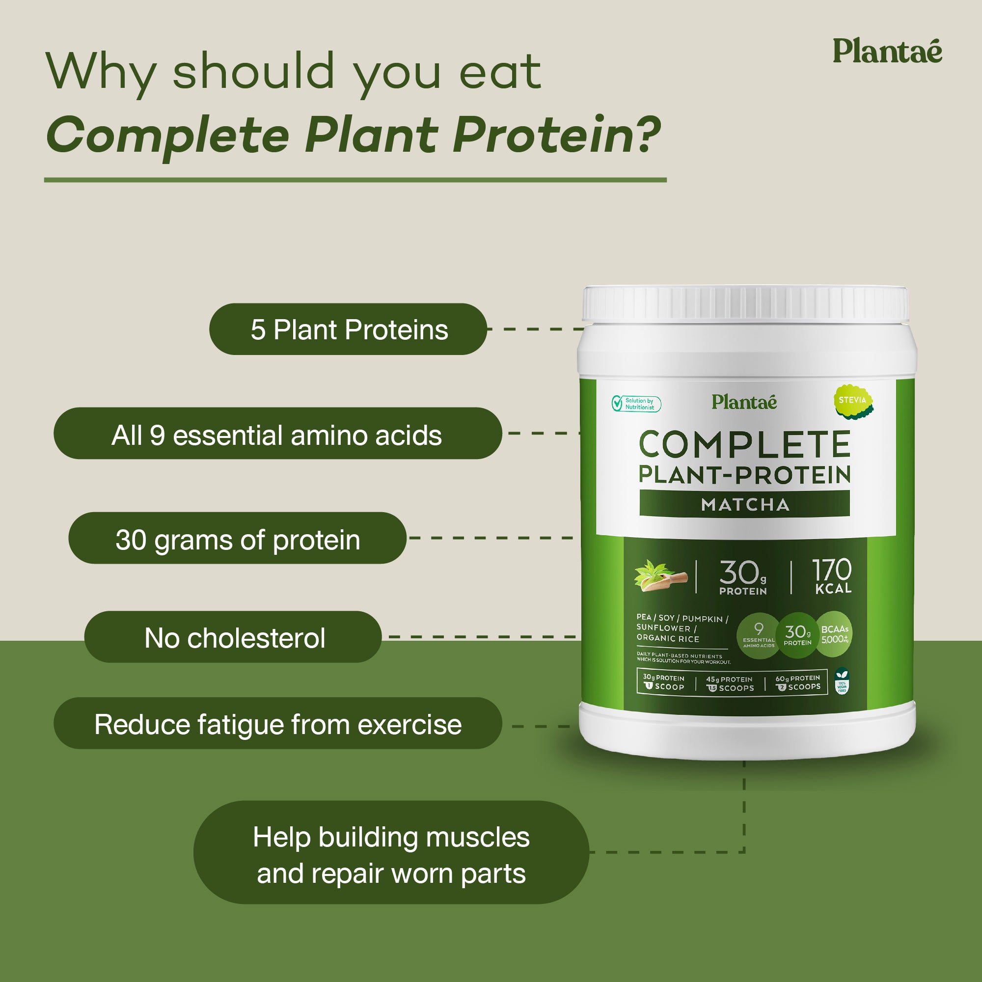 Plantae Complete Plant Protein – PlantaeLife