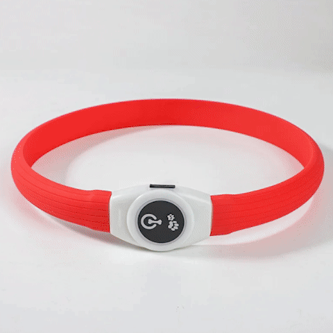 collier lumineux chien plusieurs couleur ajustable