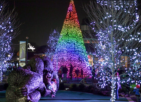 Chicago, Illinois christmas lights