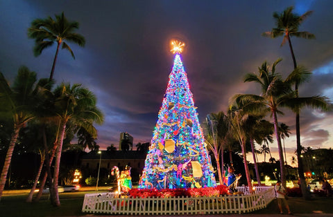 Honolulu, Hawaii xmas lights