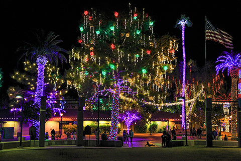 Glendale Arizona christmas lights