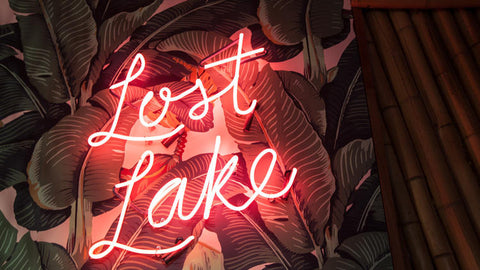 Lost Lake neon signs tour, Chicago