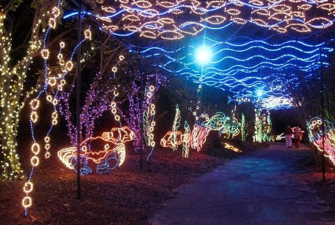 Theodore Alabama christmas lights