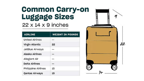 the standard domestic carry-on luggage size