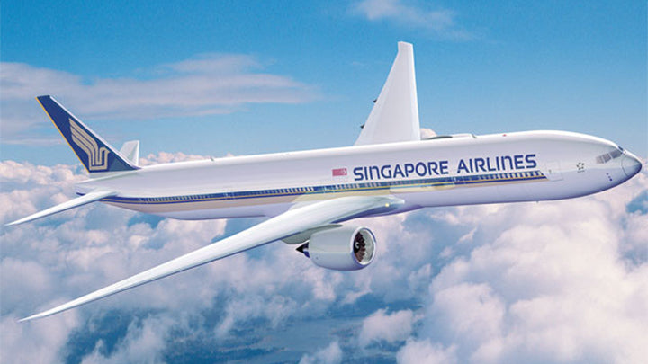 magasin airwheel avion singapour