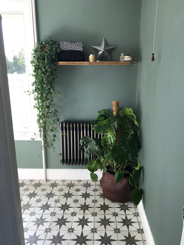 A raw metal column radiator mounted on a teal wall beneath a raw wood shelf holding a hanging plant and toiletries.