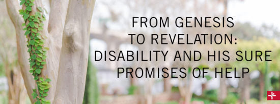 From Genesis to Revelation: Disability and His Sure Promises of Help