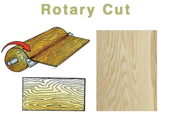 Rotary Cut veneer