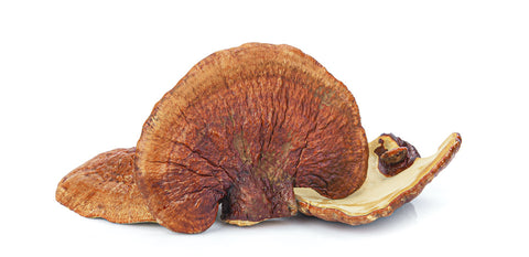 Adaptogenic Mushrooms