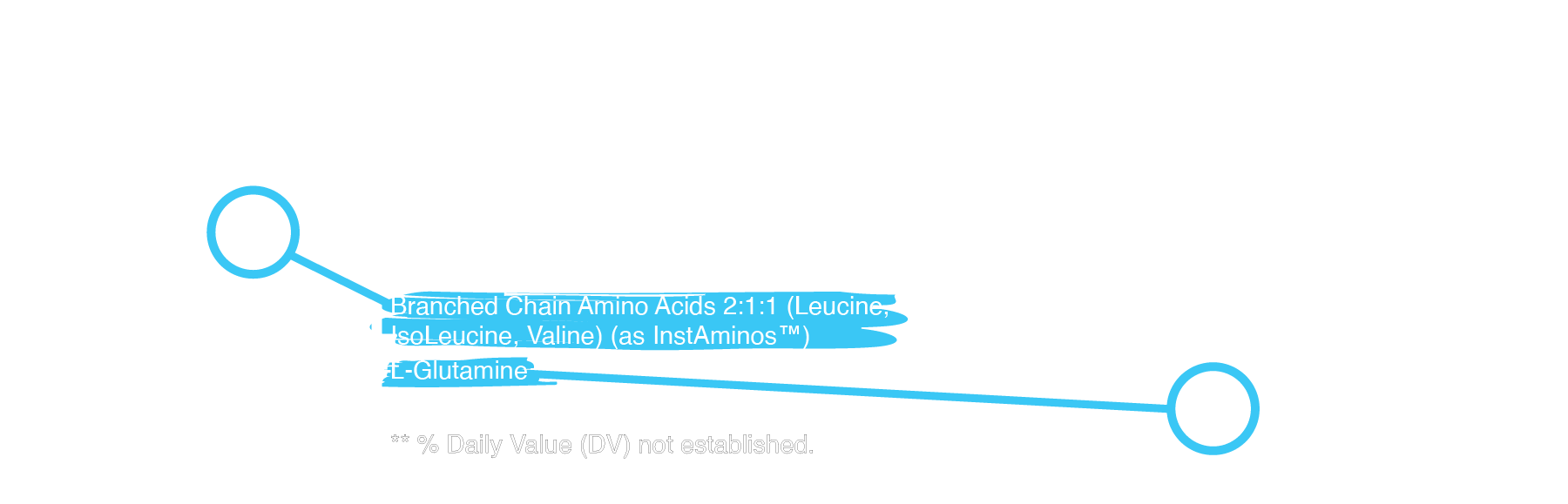 Supplement Facts Panel