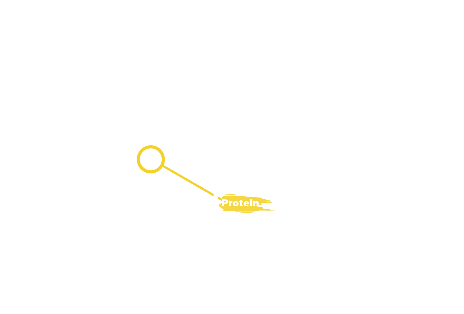 Supplement Facts Panel