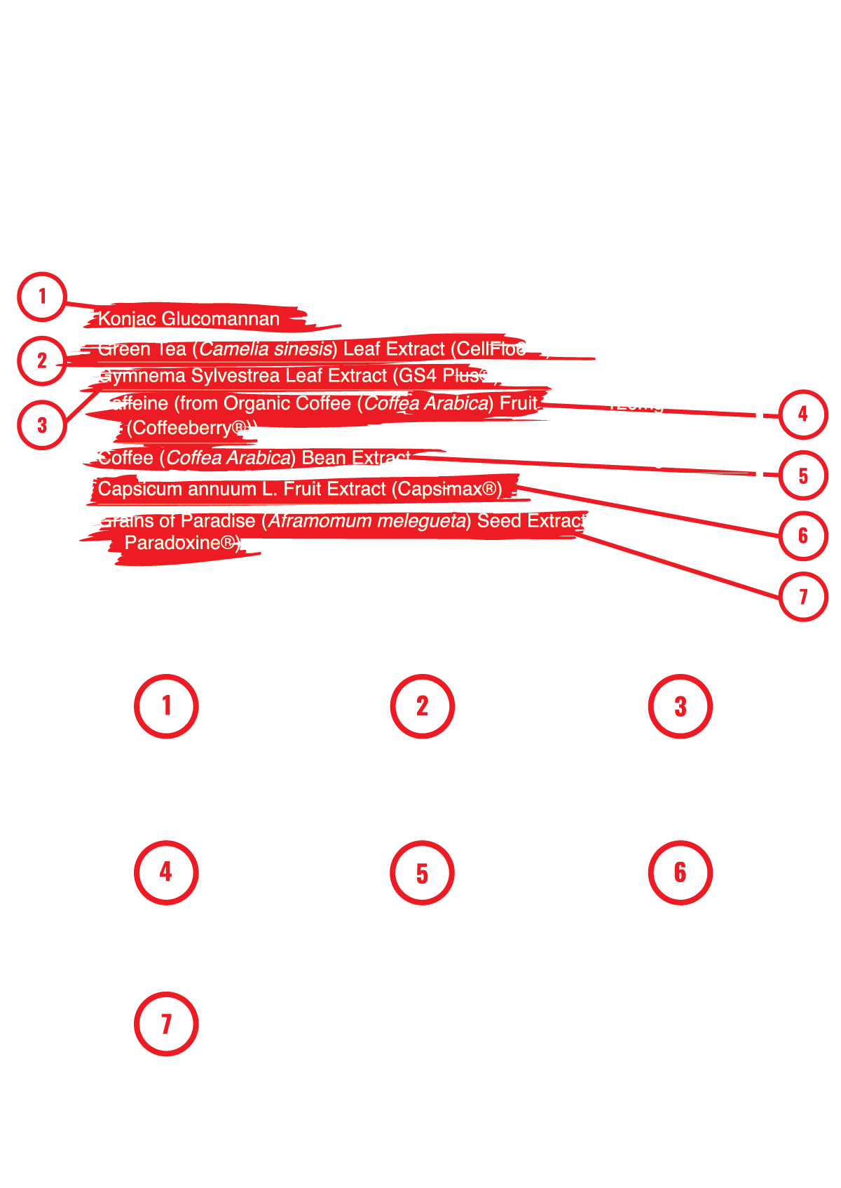 Supplement Facts Panel