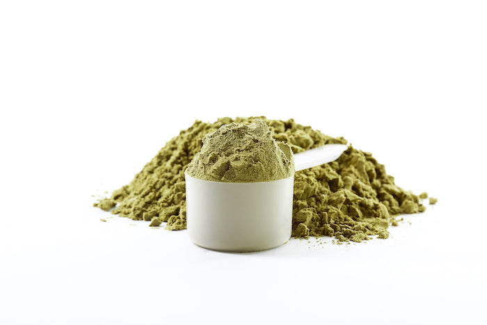 Best Plant Protein - Hemp Protein Powder 