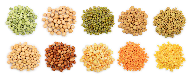 Best Plant Protein: Legumes 